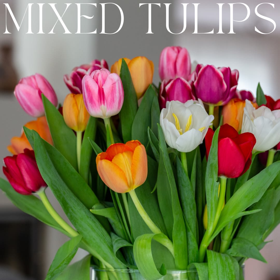 Mixed Tulip Special - An assortment of mixed tulips arranged in a clear glass vase. Higher value increases the amount of tulips used.