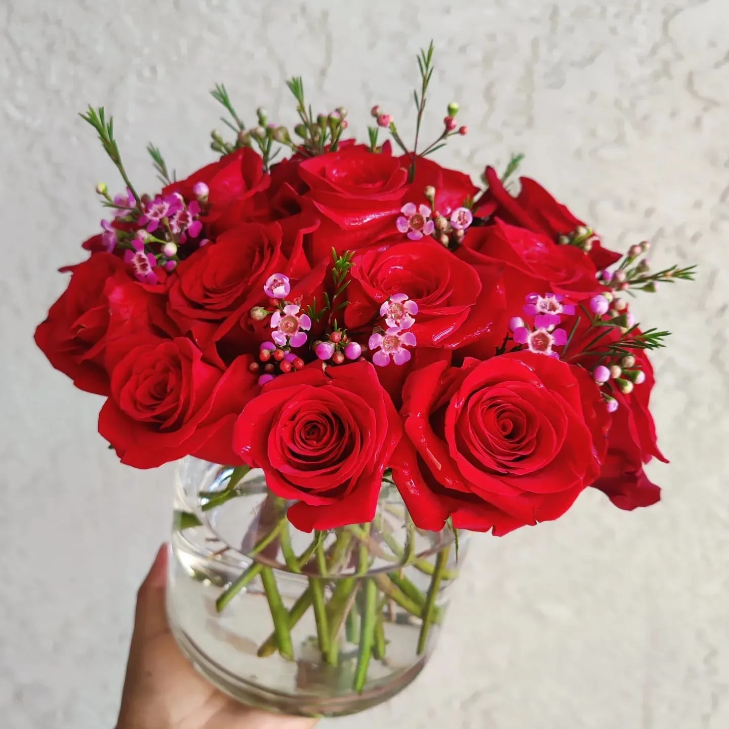 "Red Velvet"  18 Roses. - Beautiful fresh quality roses in red color. Standard size includes 18 roses  * Size 10" x 9.5" approximately It includes a glass vase. Perfect for a special moment. * Deluxe size includes 24 roses.