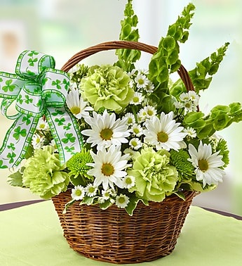 St. Patrick's Day Flower Basket - Keep Irish eyes smiling with our traditional St. Patricks Day basket arrangement. Featuring gorgeous Bells of Ireland flowers, said to bring good luck to anyone who receives them, it comes gathered with fresh green carnations, poms and a shamrock ribbon for a festive finishing touch. Makes a truly original centerpiece for every St. Pattys Day celebration.  Beautiful arrangement of green carnations, Bells of Ireland, poms and monte casino, gathered with variegated pittosporum Hand-designed in a handled willow basket and finished with a festive ribbon