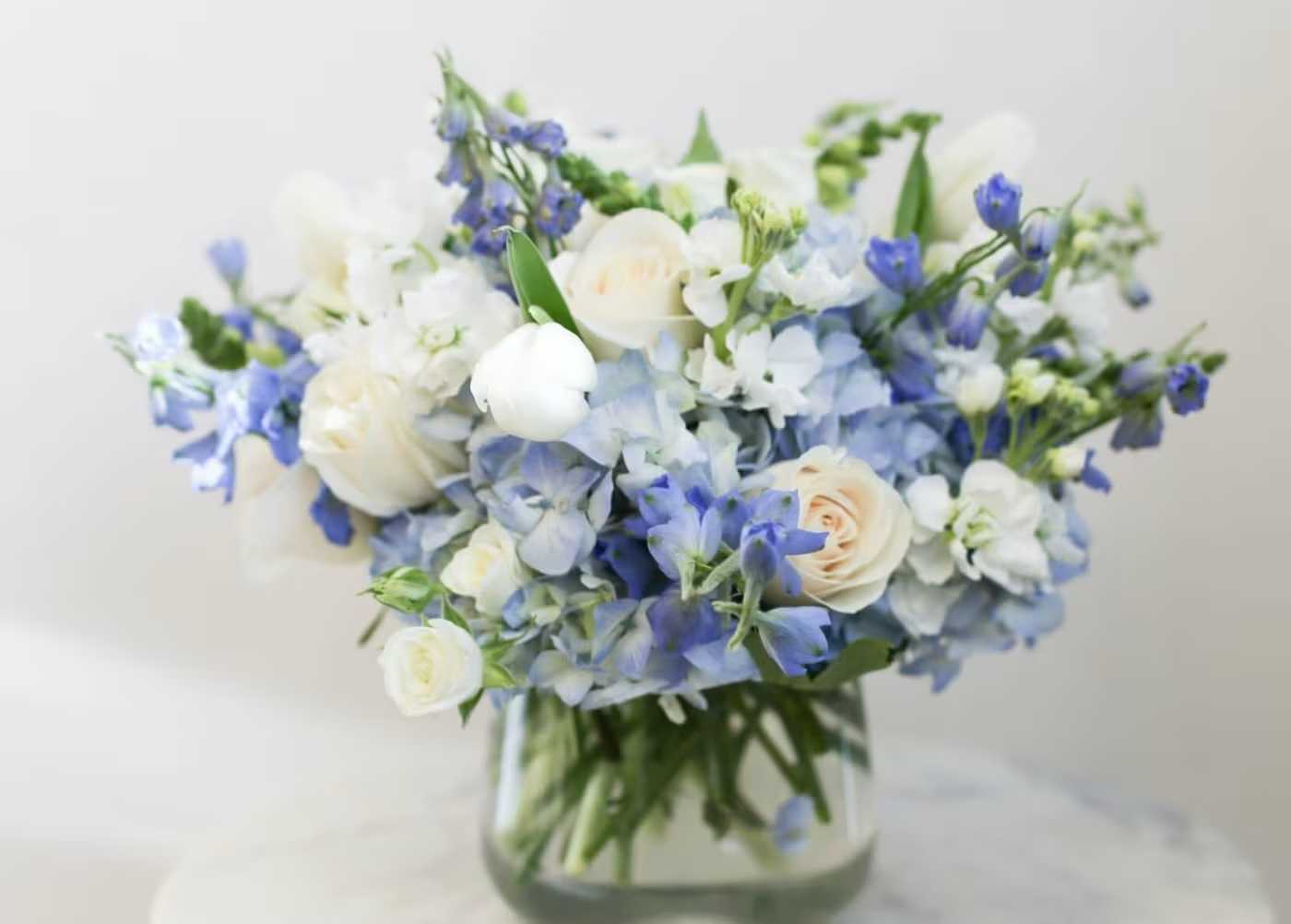 A touch of blue TRM - A stunning white and blue arrangement for a new baby or a just because on a special day. With and elegant touch of hydrangea, roses, tulips and more.