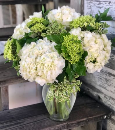 Who doesn't like Hydrangea? - Vase of fresh hydrangea accented with lush greenery. Substitutions will be made where necessary to ensure quality.