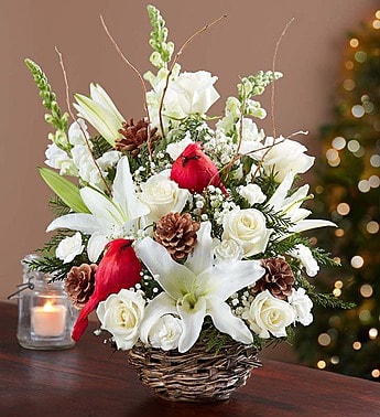 Winter Songbird Bouquet - Invite the beauty and serenity of a snowy winter landscape into their home with our hand-crafted mix of roses, lilies, snapdragons, mini carnations and assorted greens. Artistically designed in a charming bird’s nest basket, this creative arrangement is finished off with baby’s breath, willow tips, pinecones and a festive cardinal pick to accent its seasonal charm. Our florists hand-design each arrangement, so colors and varieties may vary due to local availability One-sided arrangement of roses, Oriental lilies, snapdragons, mini carnations, gypsophila and assorted greens, beautifully accented with pinecones, curly willow tips and a charming bird pick Arrives in a rustic bird’s nest basket container