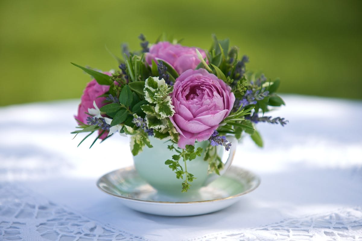 Little Lavender Tea - A touch of tea with a splash of lavender