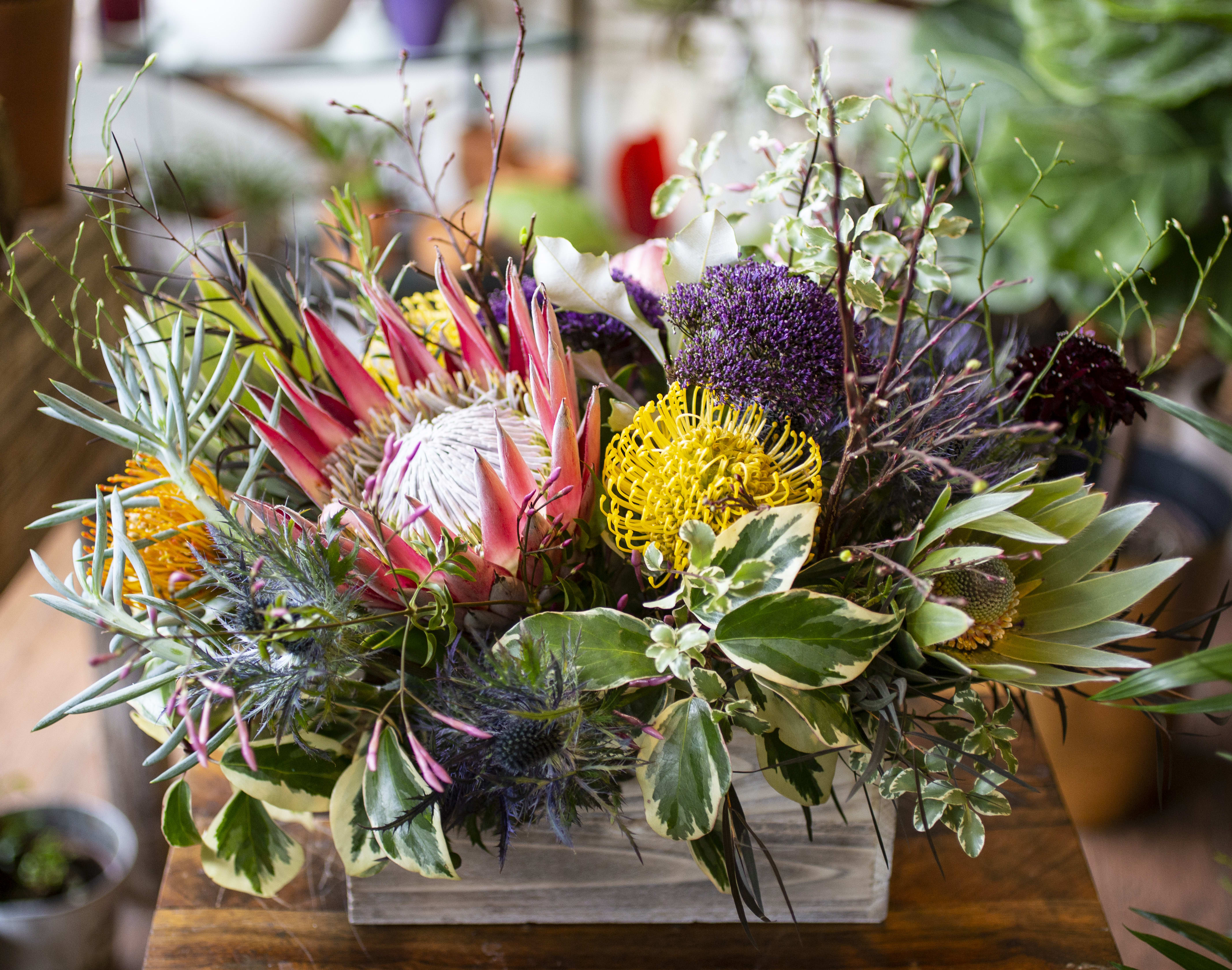 Atlas - Inspired by the tropics and the forests, arranged in a wooden box.