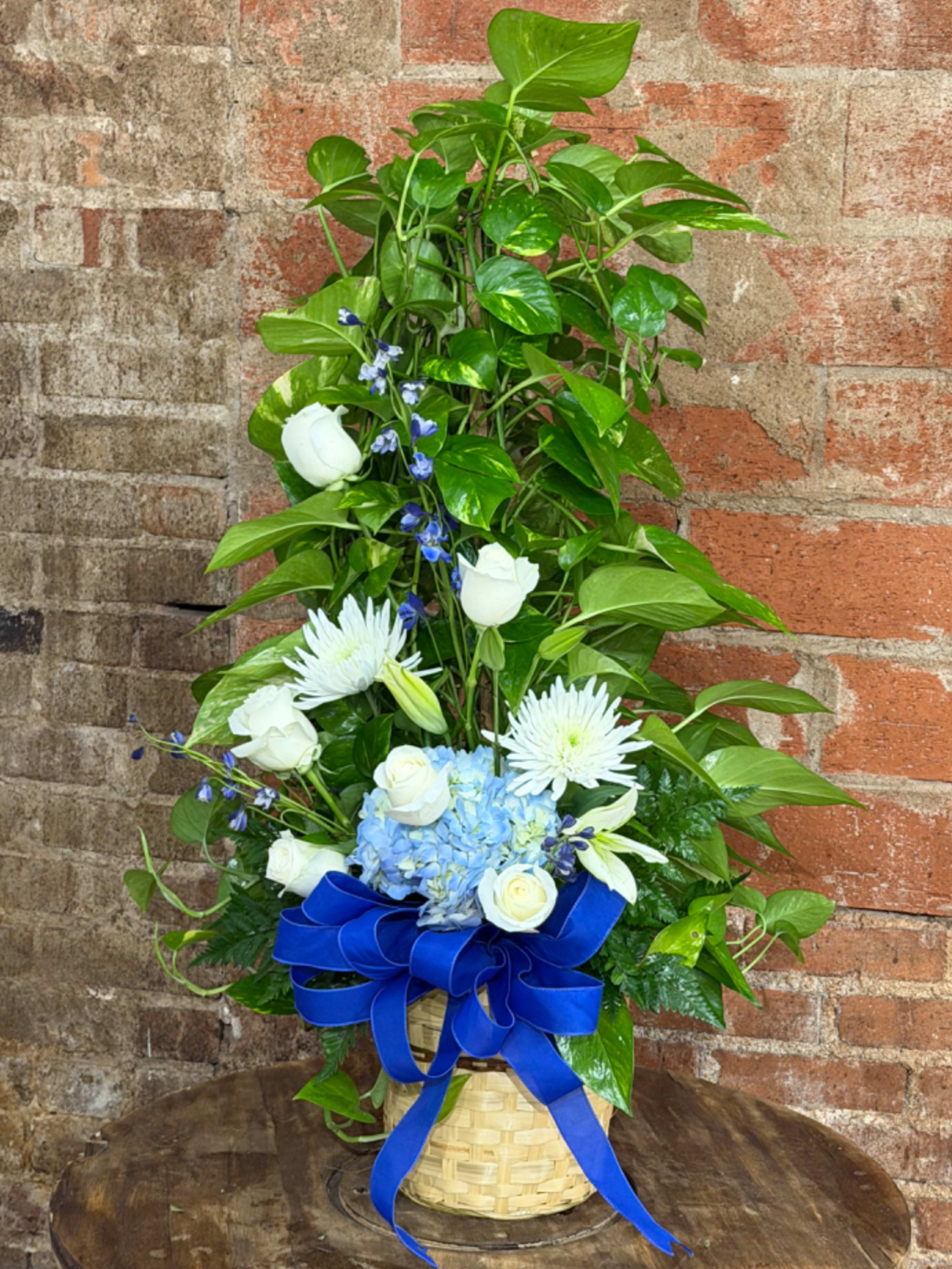 Any Green Plant (8 inch) - Enhance your gift with our 8-inch beautiful green plant, adorned with a charming bow, soft moss, and a special card message. Perfect for any occasion, they bring joy and a personal touch to your gesture!