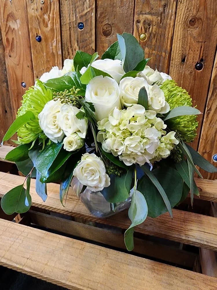 Garden Grace – Green Mums &amp; White Spray Roses - Fresh, cheerful, and effortlessly elegant, our Garden Grace Bouquet combines vibrant green mums with delicate white spray roses. This refreshing mix symbolizes harmony, renewal, and pure beauty—making it a thoughtful choice for birthdays, thank-yous, get-well wishes, or simply brightening someone’s day.  Expertly arranged with lush greenery, this bouquet offers a perfect balance of charm and sophistication. Hand-delivered with care by Adorkable Flowers and Gifts, it’s a gift that brings warmth and joy to any occasion.  * Some stages of flower life may vary. (Example: Lilies may be more open than imaged.)   Flower shortages and product availability means that some substitutions will apply. Value will always be filled. This bouquet might include eucalyptus amongst the greenery. It may be toxic to pets including but not limited to cats and dogs if digested.