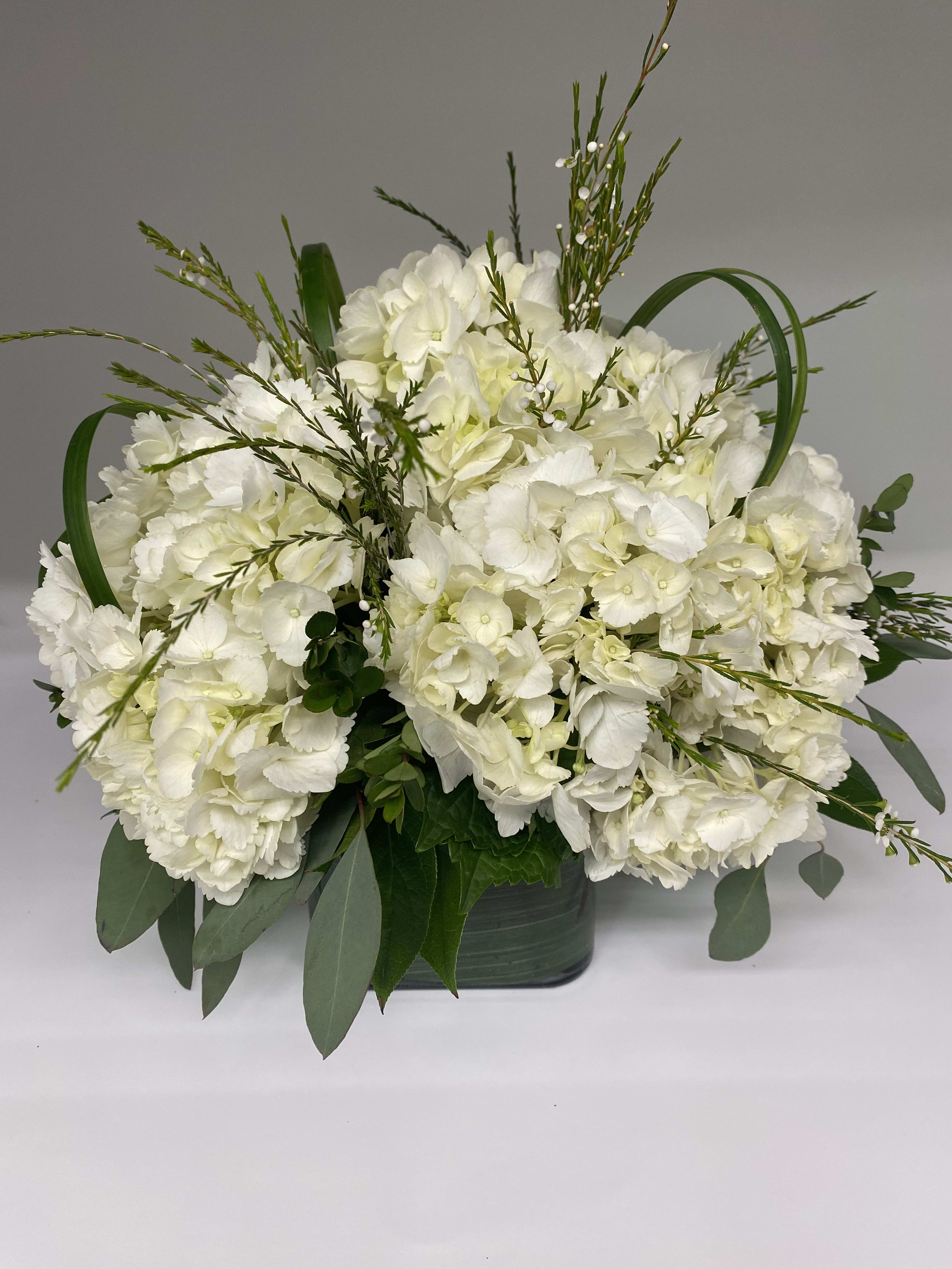Whites  - Floral arrangement consisting of your choice white, pink, or blue hydrangeas in a clear glass vase 