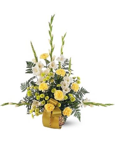 VIBRANT YELLOW BASKET - This traditional arrangement with its yellow, green and white will send your most comforting wishes to family and friends. One arrangement with white gladioli, yellow carnations, and chartreuse button chrysanthemums is delivered in a round wicker basket.  Approximately 34" W x 35" H