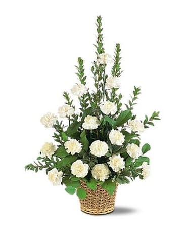WHITE SIMPLICITY BASKET - If you want send your warmest thoughts to show how much you care, this lovely arrangement with its white carnations sends your thoughts compassionately. One arrangement with white carnations and decorative foliage is delivered in a natural-textured basket.  Approximately 24" W x 34" H