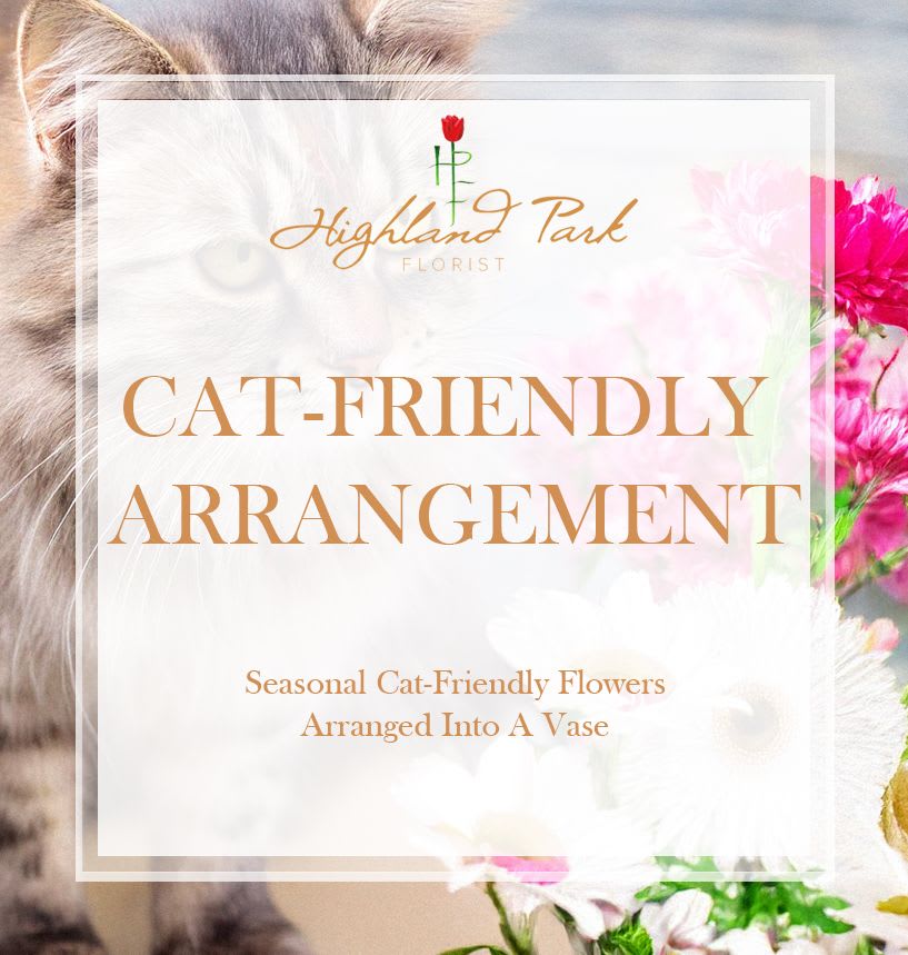 Cat-Friendly Arrangement (Vase) - Cat-Friendly flowers arranged into a vase.   *Please let us know if you had a certain style/color scheme in mind (ex. bright, pastels, spring, rustic, wild, etc.)
