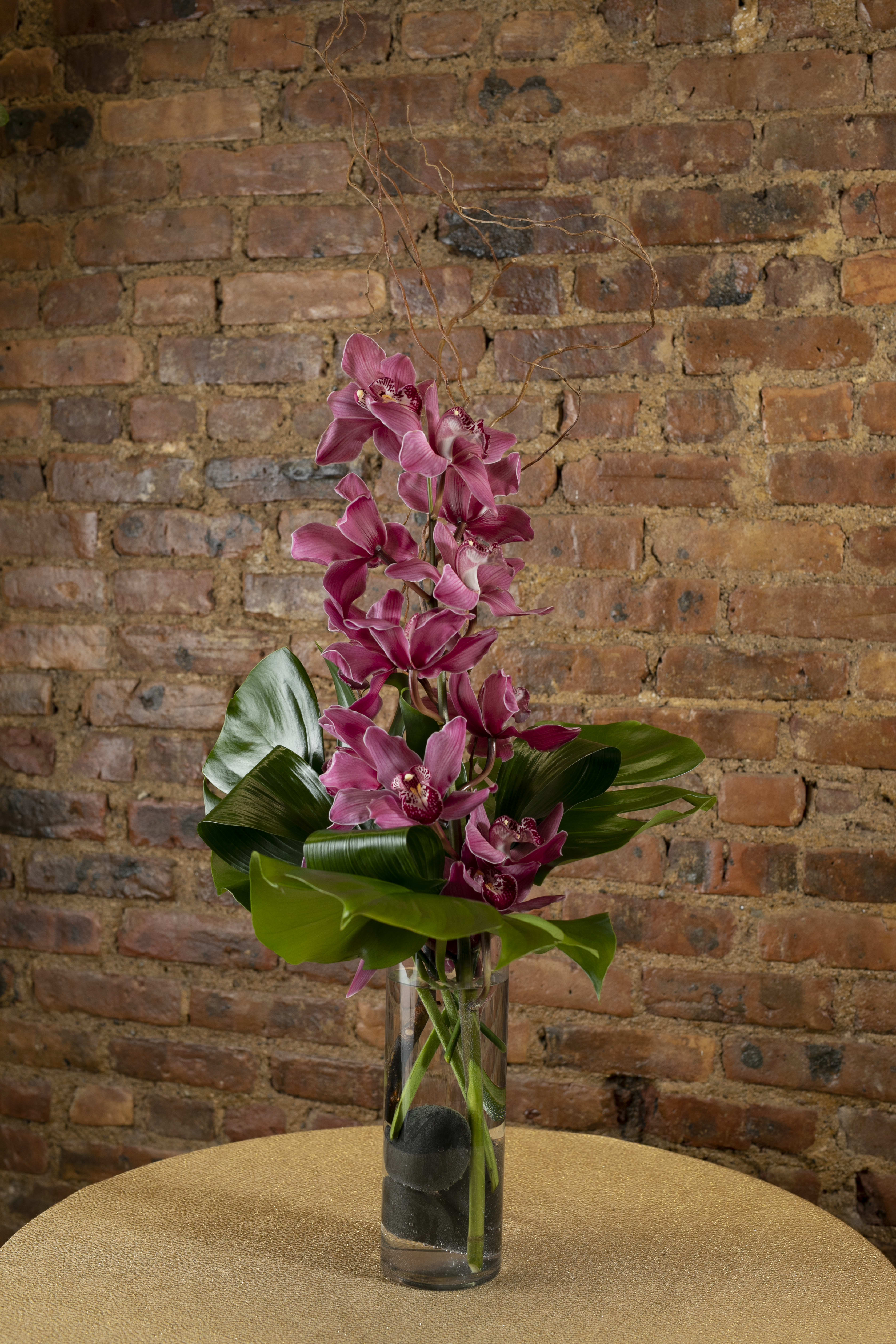 Exotic Pink Cymbidium Orchid  - Exotic Pink Cymbidium Orchid Blooms, elegantly designed with tropical Monsetra leaves and Aspidistra leaves. Designed in a sleek glass cylinder.    Orientation: One Sided  All prices in USD ($) Standard (Shown), Deluxe, Premium