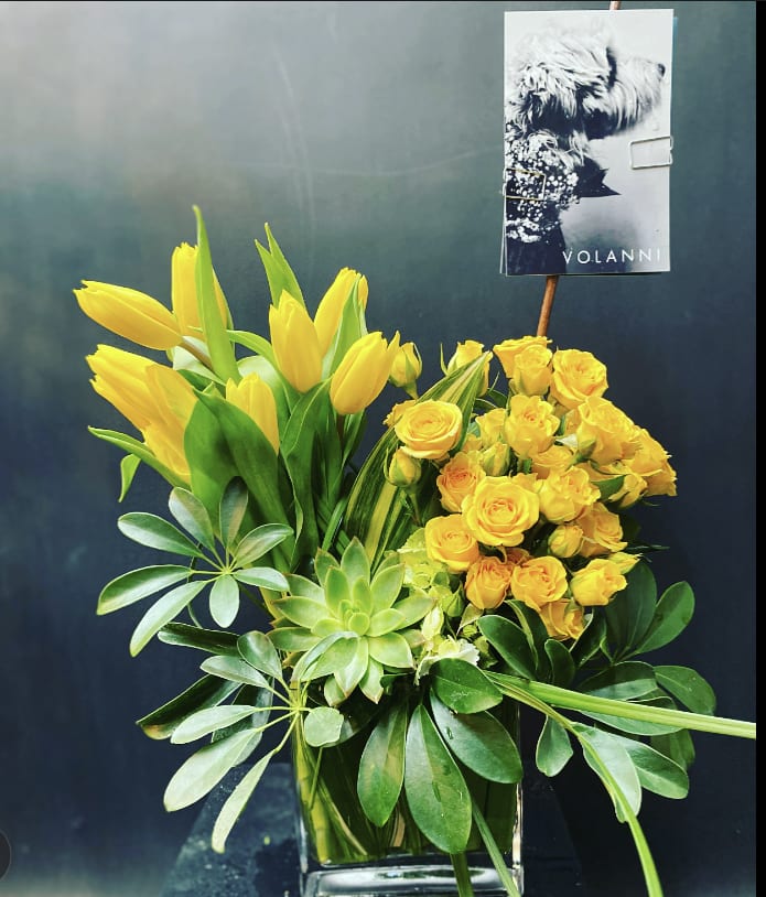 Sunny Day in the Park - Brighten your day with tulips and garden spray roses in yellow tones. Succulent, arboricola foliage, lily grass, palmetto palm trimmed. We use the freshest flowers available with wholesalers. Substitutions may be made, but the overall design will remain.