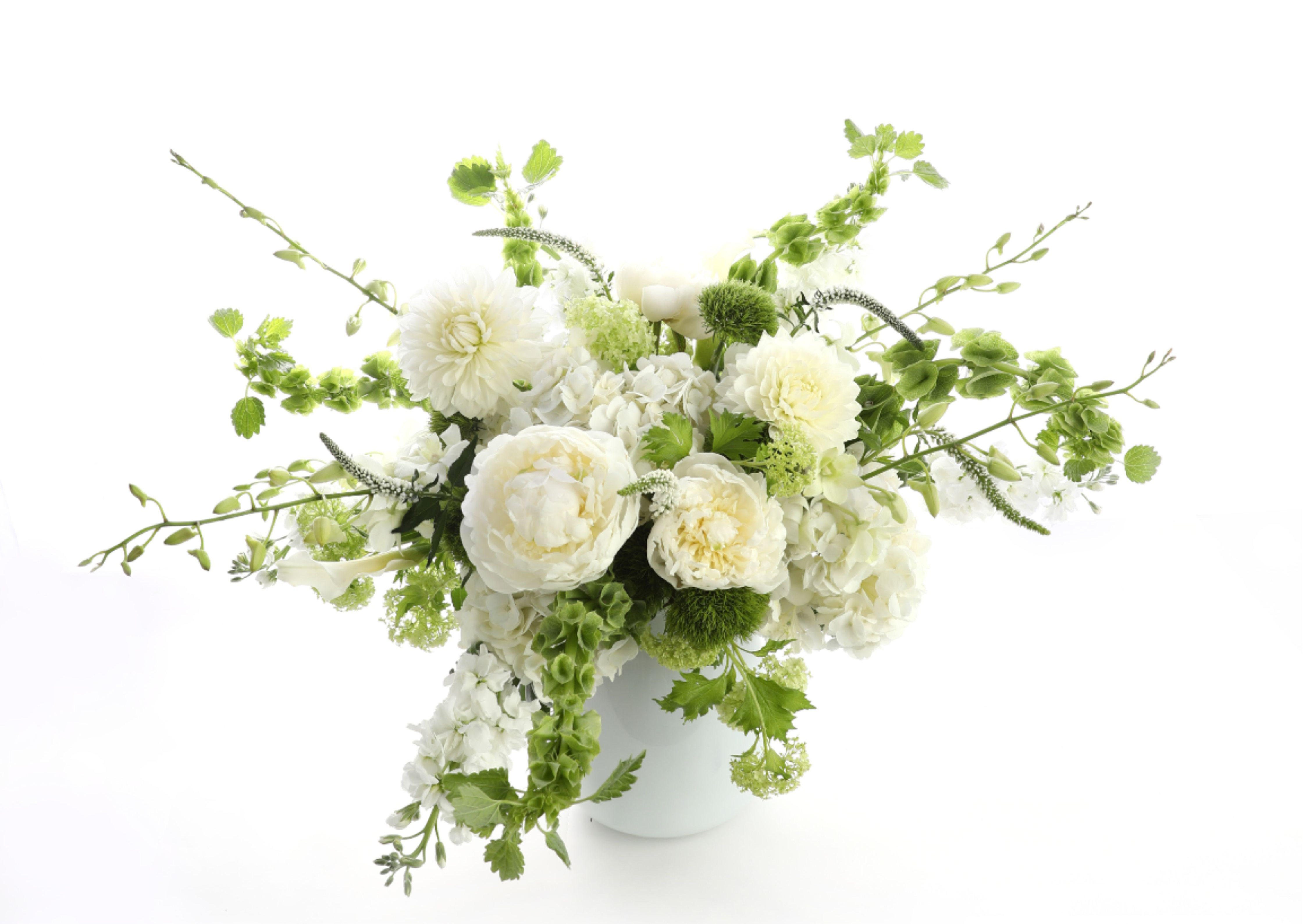 White radiance - This is an all white and green flower arrangement in a large white glass vase. We used peonies, orchids, veronica, stock, white mini calla lilies, hydrangea, dahlias, bells of Ireland, viburnum and dianthus