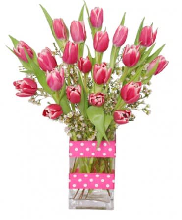 KISSABLE TULIPS - Our finest tulips hand-tied and wrapped in all their glory. Sometimes the simple things in life are worth emphasising - and that’s exactly what we’ve done with this bouquet. Elegant hot pink tulips,are combined with white waxflowers -  pink &amp; white ribbon