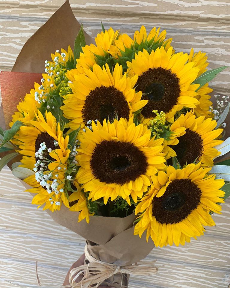 Bouquet of Sunflowers - One dozen sunflowers arranged with filler and green in a hand-tied bouquet.