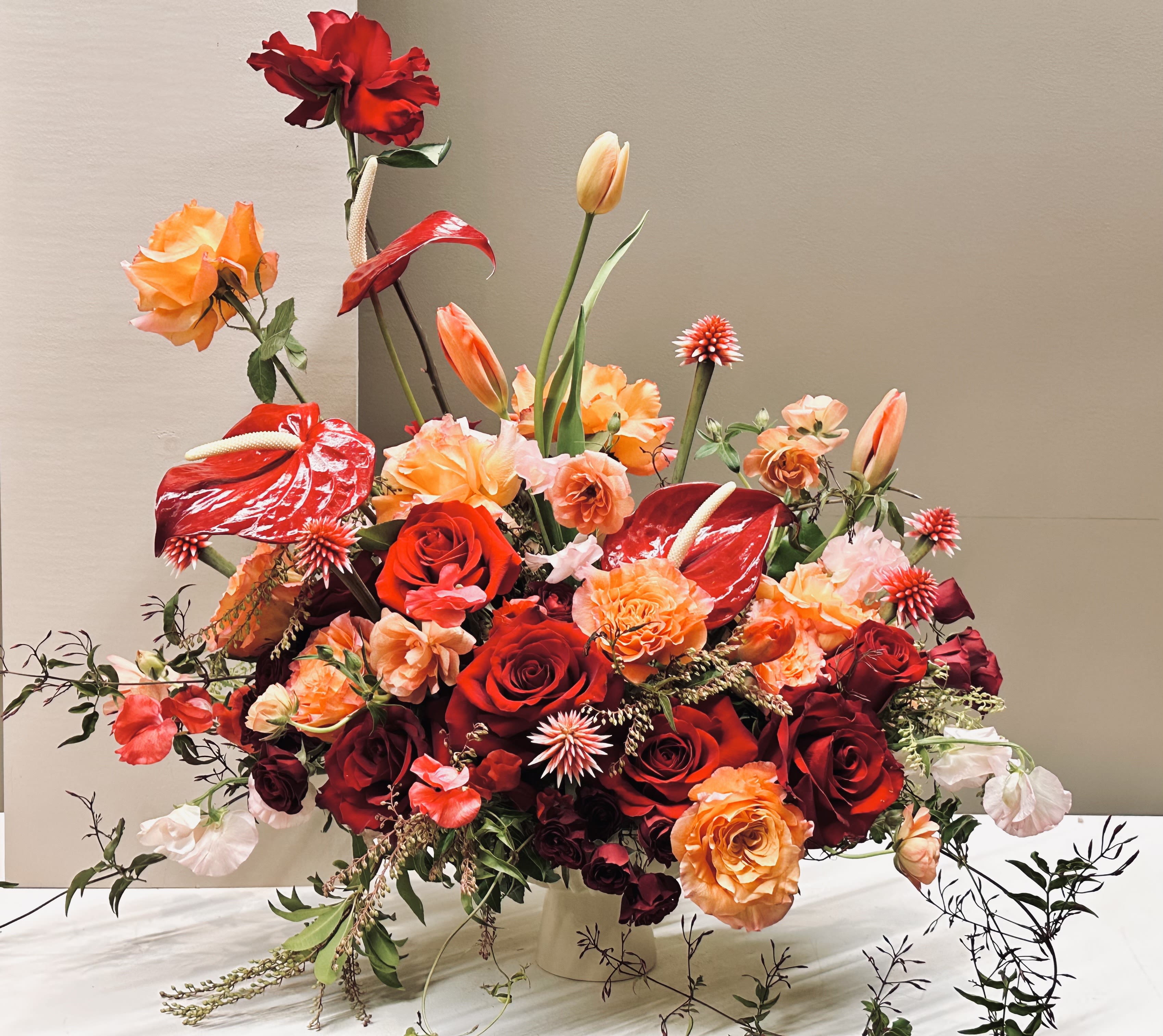 Blazing Beauty - A statement-making, grand floral arrangement designed to captivate. Vibrant Reds, Peaches, and Tangerines burst together in a dynamic composition of lush Roses, waxy Red Anthurium, Apricot Tulips, and delicate Sweet Peas. Burgundy spray Roses, Butterfly Ranunculus, and the exotic Inírida Summer Flower add texture and intrigue, creating a layered, architectural display that draws the eye upward and outward. Perfect for making a bold, unforgettable impression.