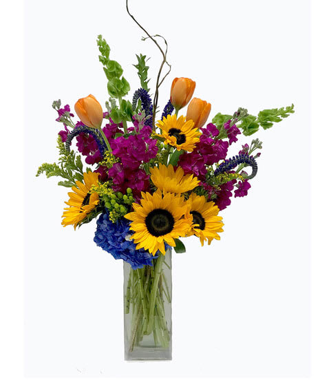Catching Sun Bouquet - This is a mixed flower arrangement featuring sunflowers, orange tulips, purple stock, blue hydrangeas, and green bells of Ireland in a clear glass vase. Bouquet perfect for all occasions.   To guarantee the freshest bouquet possible, we may replace some stems in your arrangement for color or flower variety. While we always do the best to match the picture shown, sometimes different vases may be used. Any substitution made will be similar to the original design and be of equal or greater value.