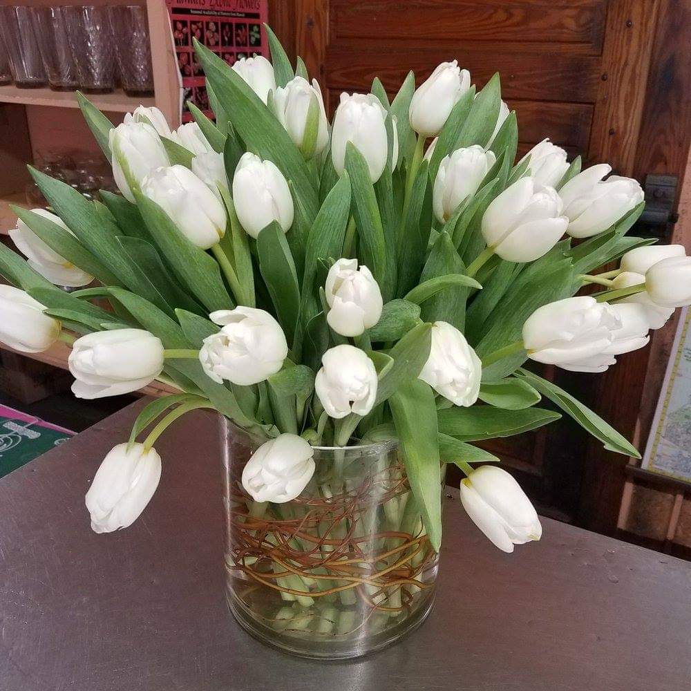 Timeless Tulips - An elegant vase, wrapped with whimsical curly willow, holds 40 decadent white tulips—perfectly arranged to create a graceful and refined look. These stunning tulips make a bold yet delicate statement in any space. Whether for a special occasion or simply to brighten someone's day, Charming Tulips captures the timeless beauty and simplicity of these gorgeous blooms.  Please note: Color of tulips may vary depending on seasonal availability, ensuring each arrangement is uniquely beautiful.  Freshness Guarantee: At Belden's Florist, we stand behind the quality of every arrangement. Our flowers are guaranteed to remain fresh and beautiful for 3–5 days after delivery. While cut flowers may naturally begin to wilt beyond this timeframe, we ensure that only the freshest blooms are selected and expertly arranged to bring joy and elegance to your space. To extend their life, we recommend refreshing the water in your vase daily, allowing your flowers to stay hydrated and continue to dazzle.