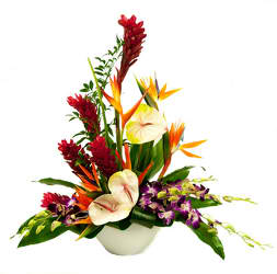 Tropical Paradise   - A stunning and elegant arrangement fit for any occasion with exotic and tropical flowers. 