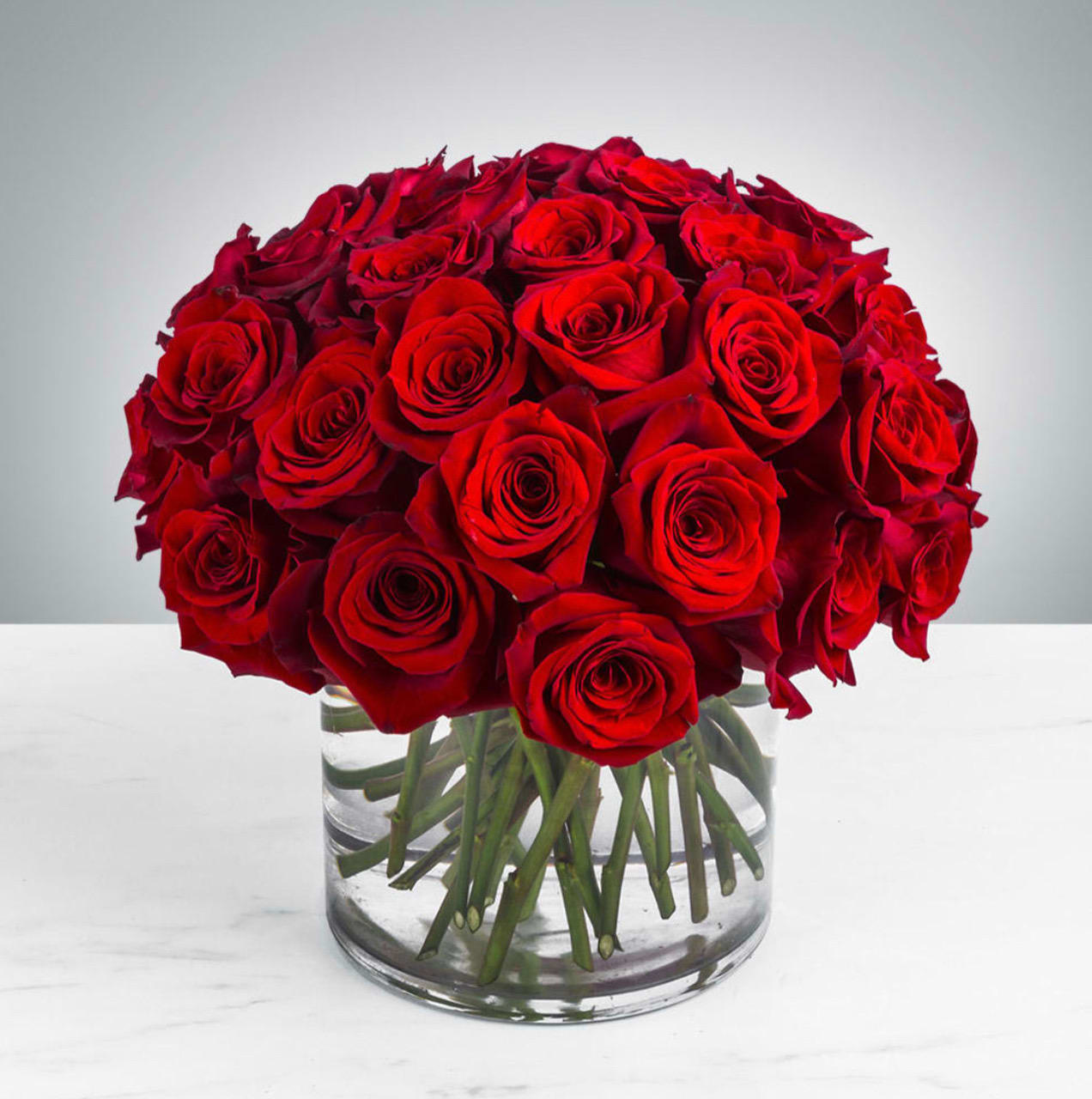 Three Dozen Red Roses  - Make a bold statement with this beautifully simple design. Three Dozen Red Roses is the perfect gift for Valentine's Day, an Anniversary, or anytime you're feeling romantic.   Arrangement Details: Three dozen red roses in a glass cylinder vase.  APPROXIMATE DIMENSIONS are 12"D X 12"H 