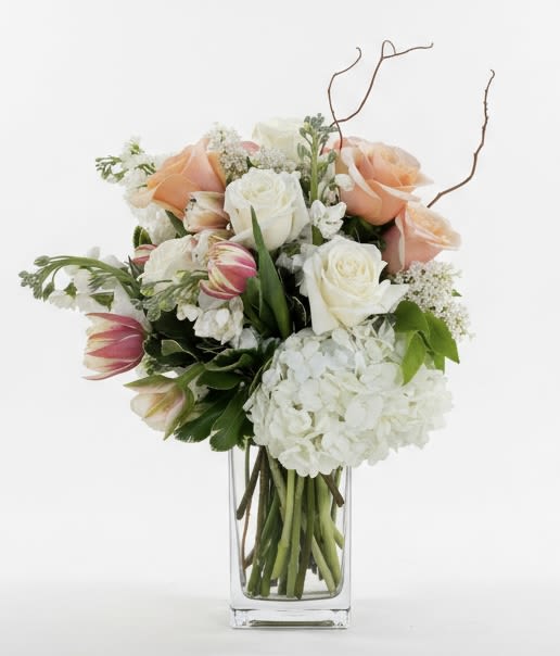Riviera - This chic arrangement has graceful movement and artistic style. Filled with greens, orchids, roses and more, Riviera is the breath of fresh air everybody needs. Perfect for all occasions from new baby to happy birthday, this arrangement exudes taste and will be sure to impress.   APPROXIMATE DIMENSIONS 18" W X 18" H