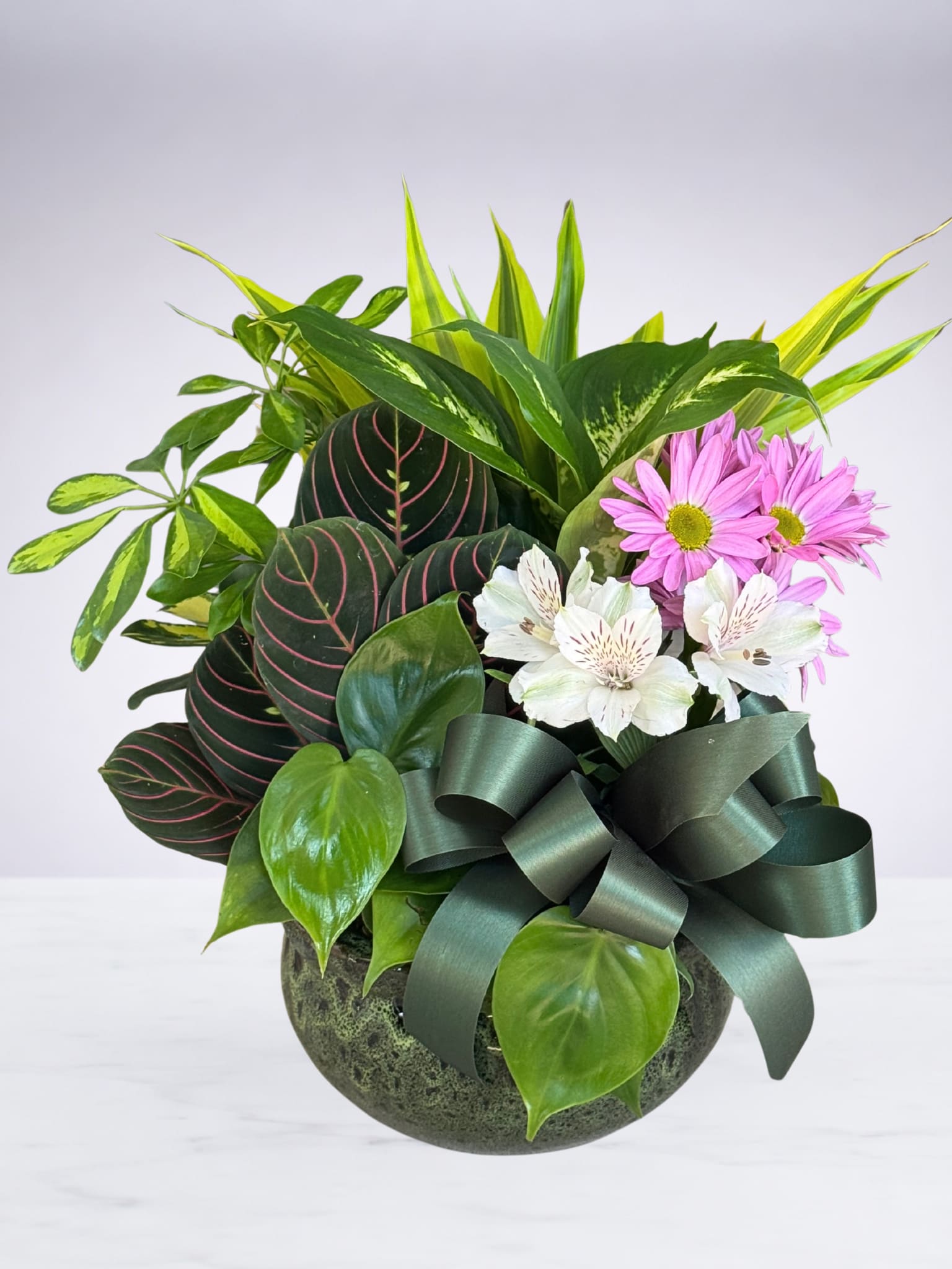 Floral &amp; Foliage Dish Garden - This beautiful 8 inch dish garden brings together the best of both worlds—lush, living plants paired with fresh seasonal flowers for an extra pop of color. Designed in a ceramic dish and finished with a bow, it makes a thoughtful gift for anyone and any occasion.  As the fresh flowers naturally fade, the garden continues to thrive, leaving behind a collection of plants to enjoy long after the blooms are gone. Flower varieties, plant selection, ceramic dish color, and overall design will vary, making each dish garden one of a kind.  Perfect for birthdays, thank-you gifts, sympathy gestures, or just because—this living garden is a gift that keeps on growing.