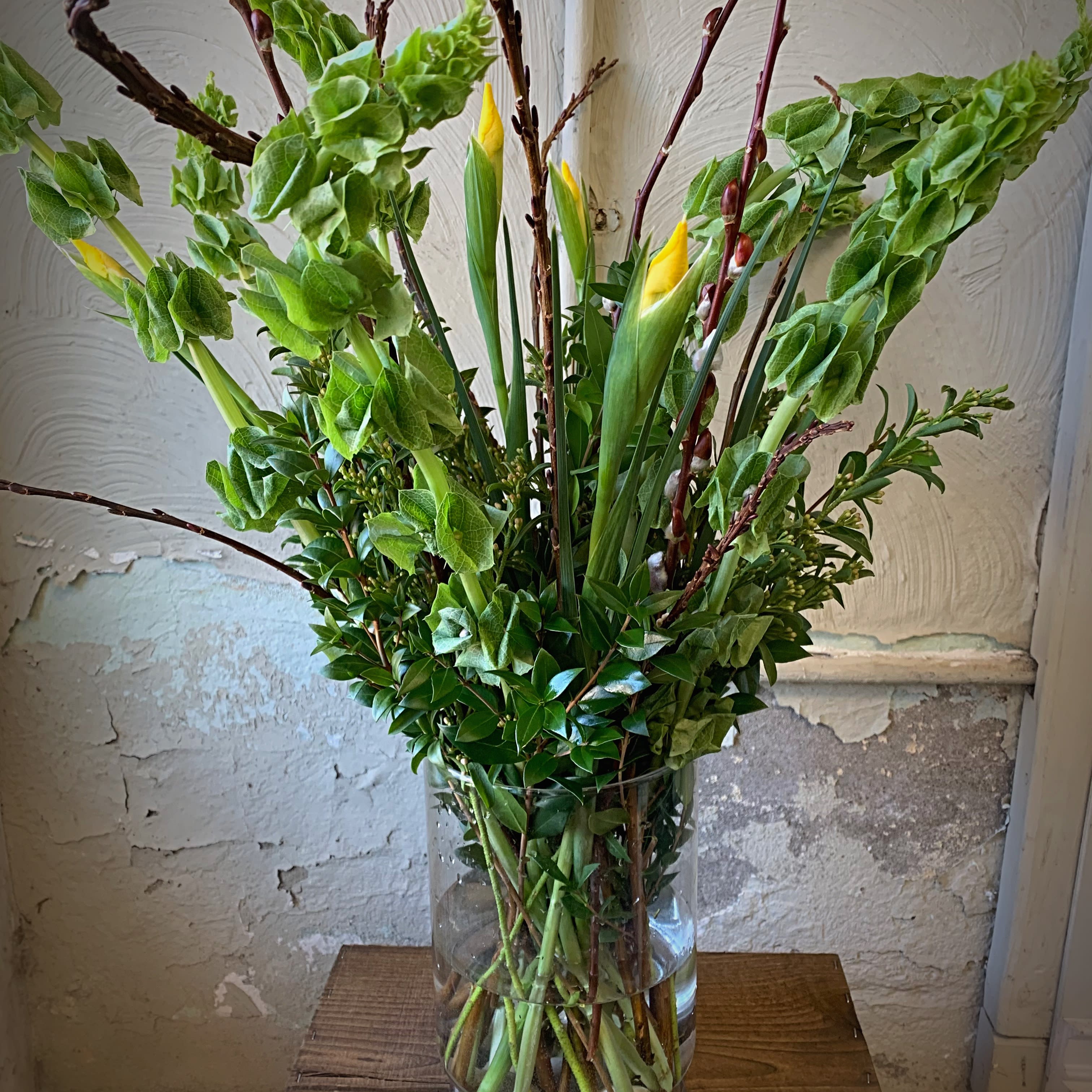 Lucky Bells - An elegant display of lucky Bells of Ireland and Pussy Willow fitting for any upcoming corned beef feast! 