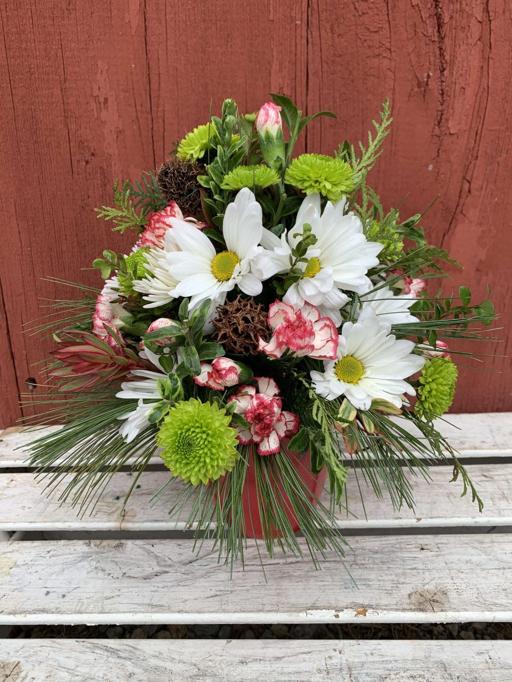 By Golly It's Jolly - Imagine what would happen if you combined everyone's holiday favorites and arranged them in a beautiful Christmas bouquet. The results would be very sweet indeed, as they are in this fantastic gift!  Standard Version will include Daisey, Carnations and mums only. Real candy canes, pinecones and holiday greens in a pretty ginger vase come all wrapped up in a pretty holiday bow. Eye candy with real candy, what a treat.  Approximately 14" W x 15 1/2" H  Orientation: All-Around  As Shown : T118-2A Deluxe : T118-2B Premium : T118-2C