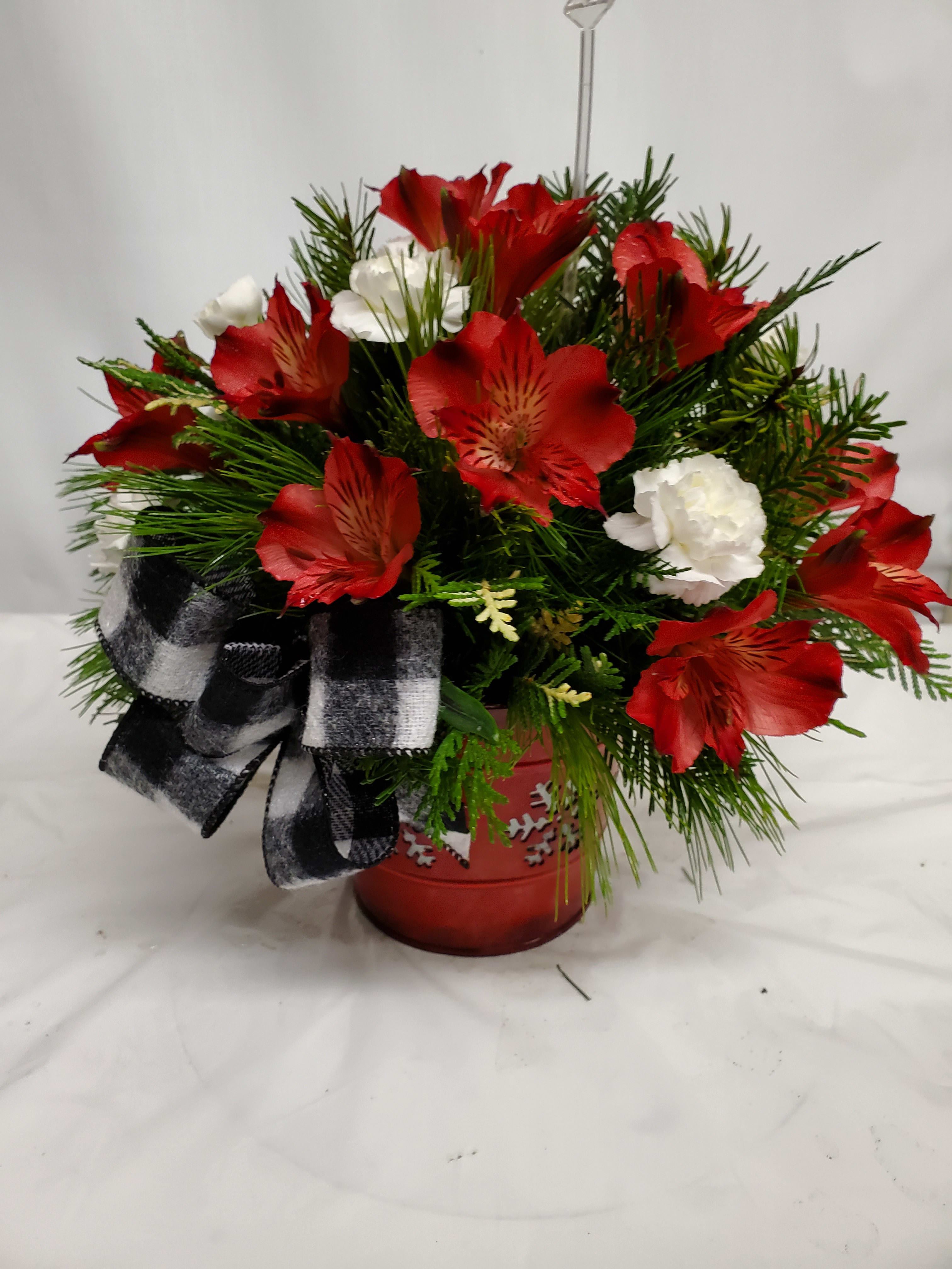 Elegant Christmas  - White mini carnations and red Alstroemeria flowers arranged in a cute Christmas tin with Christmas greens.