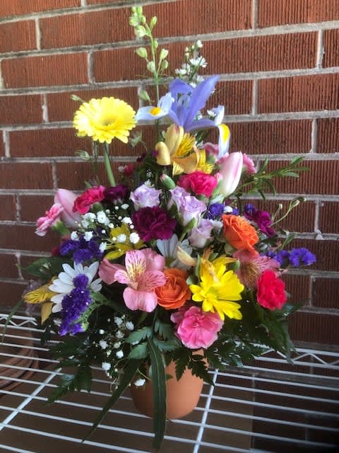 TERRACOTTA POT OF LOVE - FRESH BRIGHT SPRING FLOWERS IN A TERRACOTTA POT. FLOWERS MAY DIFFER DUE TO WHATS IN SEASON AND AVAILABILITY IN OUR SHOP.