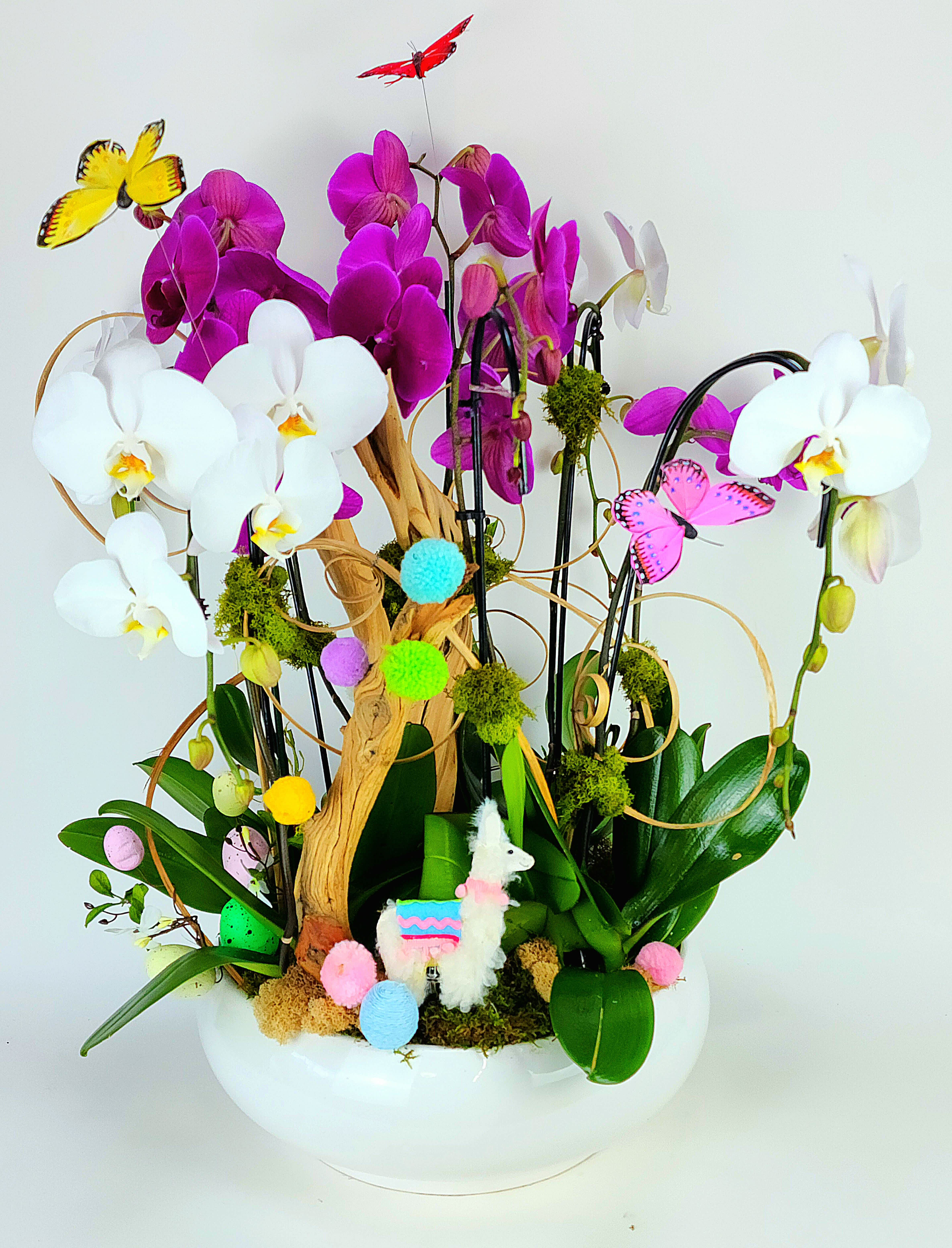 Easter Orchids Arrangement  - 8 premium swan orchids in a large vase with natural wood, moss, assorted plants and easter props.