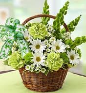 Green carnations, bells of Ireland, daisies - Perfect basket to celebrate St. Patrick's Day.
