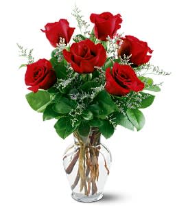 6REDROSES - HALF A DOZEN PREMIUM RED ROSES ARRANGED IN AN 8" CLEAR GLASS ROSE VASE