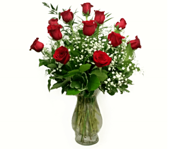 [TT-SIGROSES]  SIGNATURE DOZEN PREMIUM LONG STEM RED ROSES IN VASE - OUR SIGNATURE LONG STEM PREMIUM ROSES COME ARRANGED IN A LARGE CLEAR GLASS BELLA VASE WITH EXCELLENCE BABYS BREATH FILLER AND VARIEGATED PITTOSPORUM, ITALIAN RUSCUS, AND SALAL TIP GREENERY.  [TT-SIGROSES]  STANDARD (SHOWN) = 12 ROSES DELUXE = 18 ROSES PREMIUM = 24 ROSES