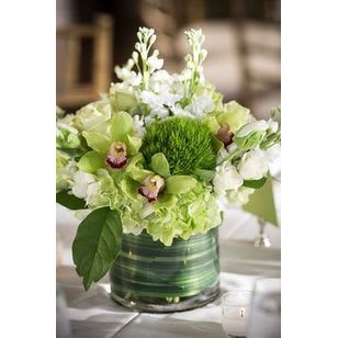 Lush Green Orchids - Bring the Lushness of spring in with this arrangement of Green Orchids, Hydrangeas, Stock and mixed greens