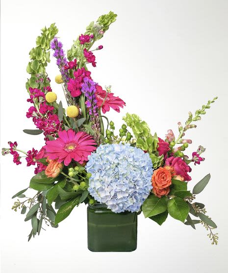Garden Reverie Cube Arrangement - A joyful daydream in bloom, Garden Reverie gathers vibrant pink gerbera daisies, lush blue hydrangea, and fresh seasonal accents into one expressive design. Bursting with color and movement, this arrangement feels like a stroll through a sunlit garden just after morning rain. Designed in a sleek Cube glass vase, it balances playful energy with natural elegance, making it perfect for celebrations, heartfelt thank-yous, or simply brightening an ordinary day. Each stem is thoughtfully placed to create a lively, airy silhouette that feels both modern and organic. Designed by expert Omaha florists using premium, fresh-cut flowers, this arrangement captures the charm of a blooming garden with a contemporary twist. Ideal for flower delivery, special occasions, or brightening offices and living spaces, Garden Reverie delivers joy, elegance, and lasting impressions.  *****Please note: flower varieties may vary slightly depending on seasonal availability, but the spirit and color story will always remain true. Same day delivery if order by Noon Central time. ****