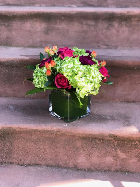 Simply Sophisticated - Compact vase arrangement with spray roses, hydrangea, and carnations. 