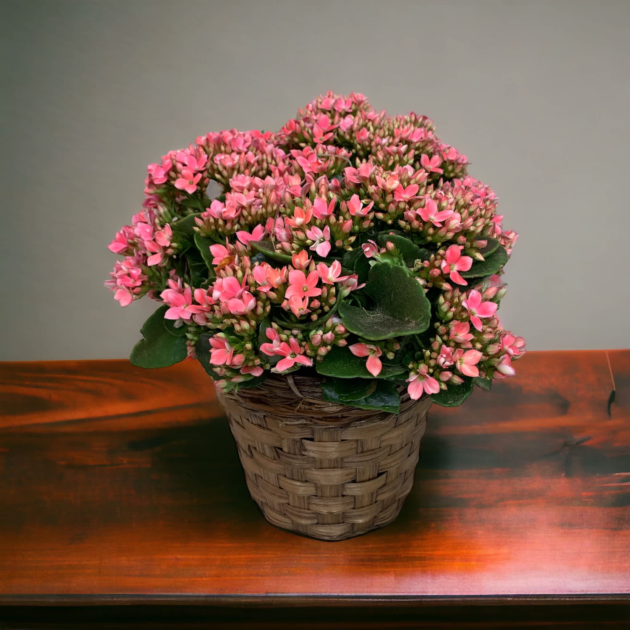 Kalanchoe Blooming Plant - Beautiful pink kalanchoe plant in lovely basket will make your loved one's day!