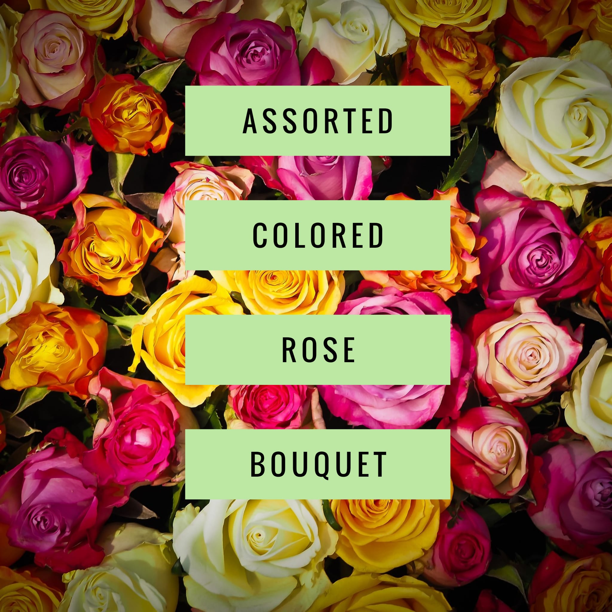 Assorted Colored Rose Bouquet - Choose from the options of a dozen, 18 or 24 assorted colored roses in a vase with greenery.  *Color availability varies.  If you're looking for a particular color, please call us directly.*