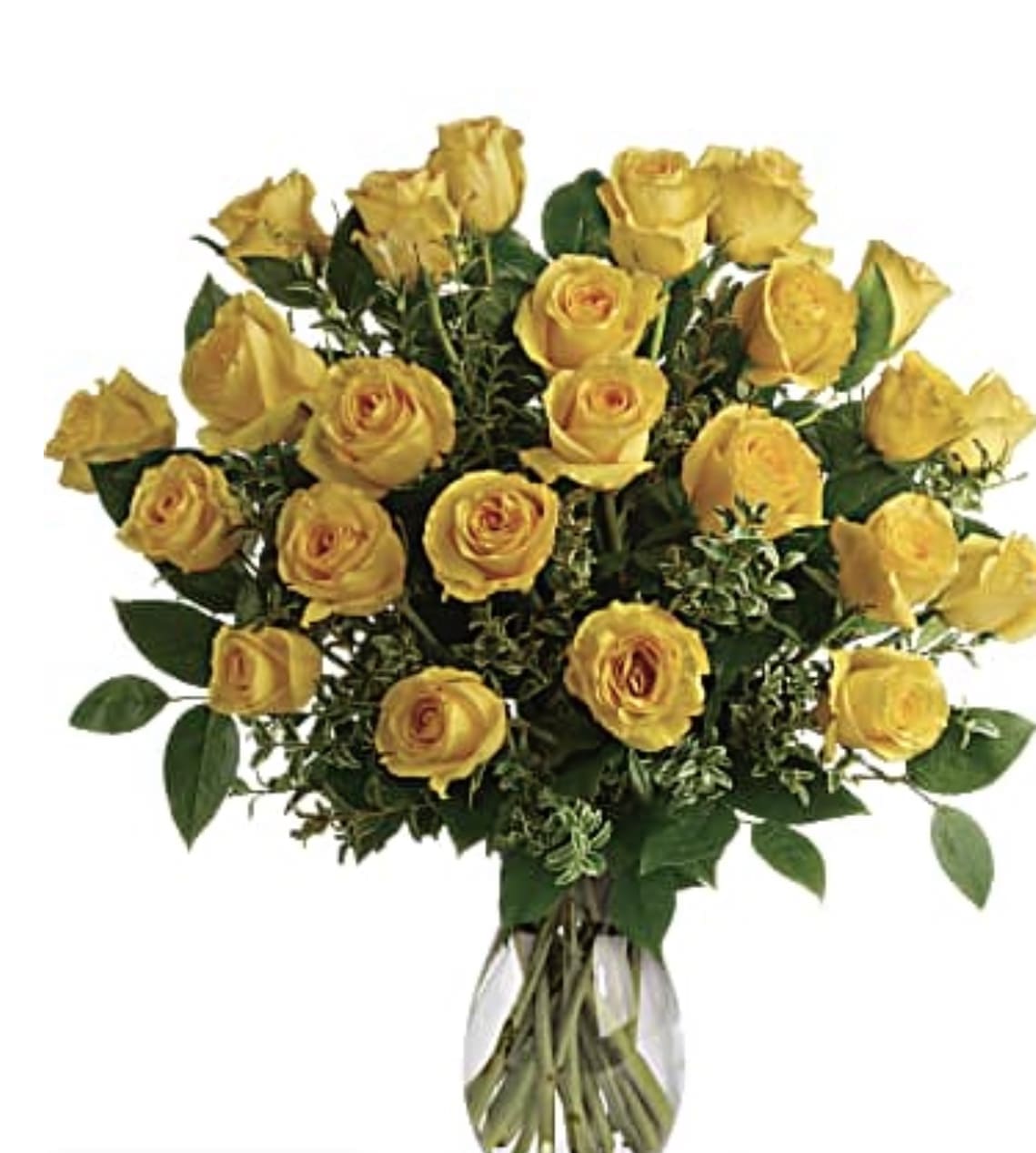 Sun yellows  - Yellow roses