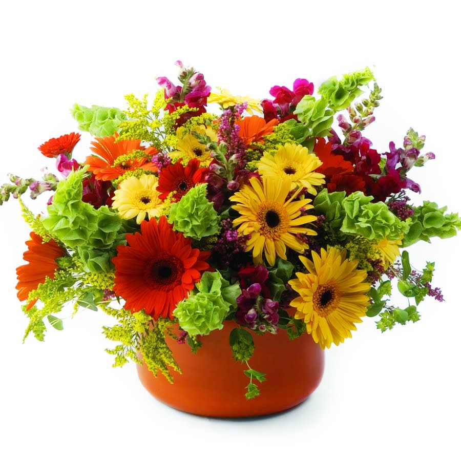 A Fabulous Fall Garden - This arrangement brings a whole lot of character to fall. 10 Gerbera Daisies, Snapdragons and a wide array of Solidago and Bells of Ireland come together fabulously in a ceramic vase. flowers Pico Rivera CA 90660 