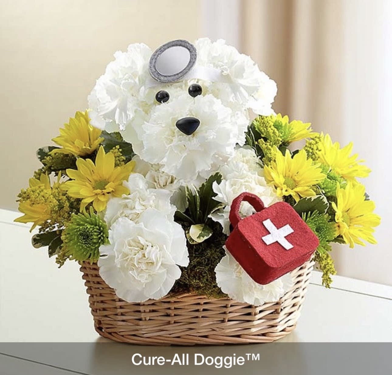 Cure All Doggie - Get Well Perfect Gift