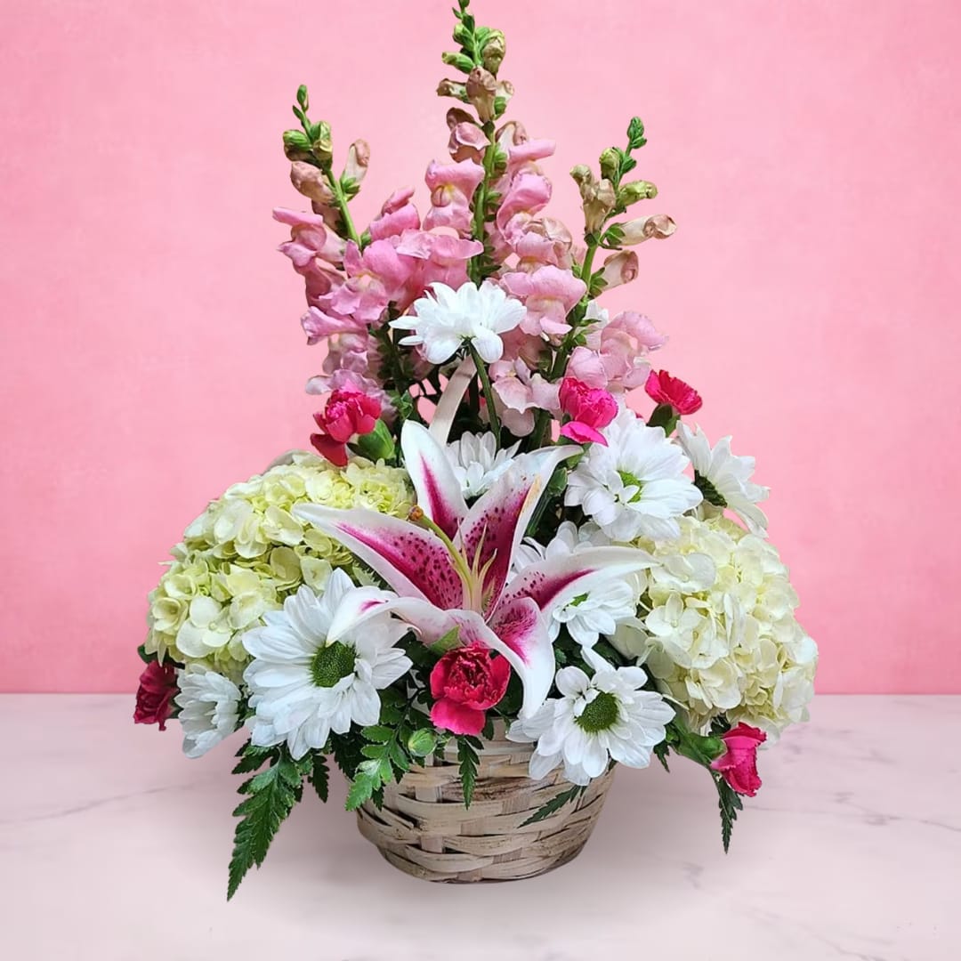 Blooms of Beauty Basket - Please note: Stargazer lilies are shown fully open in the photo for display purposes. Blooms may arrive in tighter bud form, allowing the recipient to enjoy them as they open beautifully over time.  Blooms of Beauty Basket is a stunning floral arrangement that captures the essence of elegance and cheer. Nestled in a charming woven basket, this bouquet features a vibrant medley of blooms, including graceful stargazer lilies with bold pink centers, delicate pink snapdragons rising tall, and cheerful white daisies. Soft white hydrangeas and bright fuchsia mini carnations add texture and pops of color, while lush greenery frames the composition with a natural touch. Perfect for any celebration or as a heartfelt gift, this arrangement brings joy, warmth, and a sense of refined beauty to any space.  approx. 16" H x 10" W 