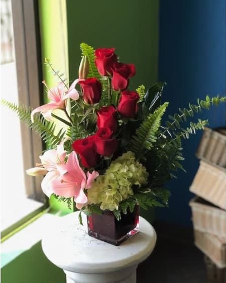 Happy To Be Loved - Happy to be loved as a tropical type.