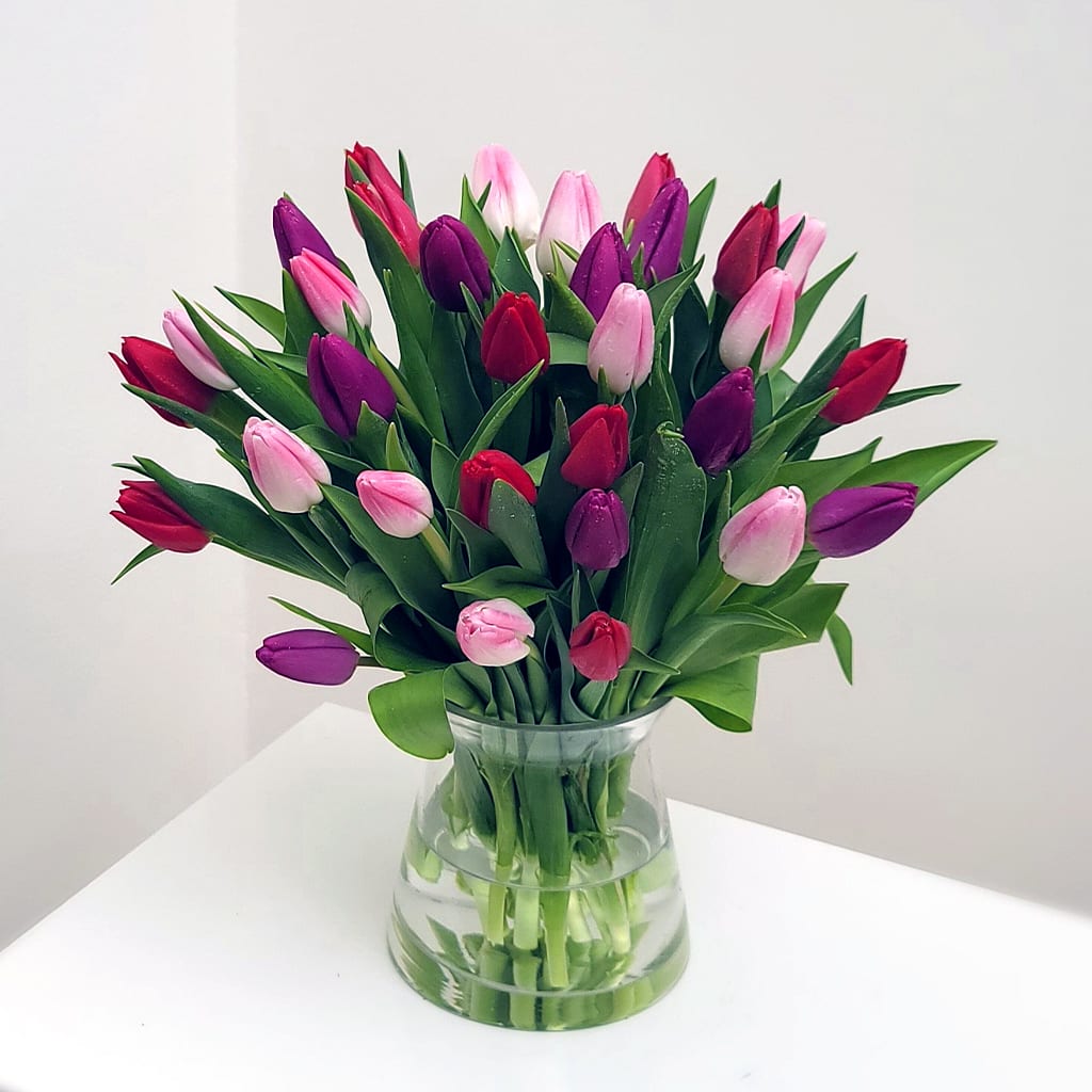 3 Color Tulip Bouquet - Brighten any space with a stunning mix of three vibrant tulip colors. Hand-selected for freshness, this elegant bouquet is perfect for Valentine's Day, Mother's Day, anniversaries, or simply because.   Approximately 16" H x 15" W. Arranged in a sleek 6" x 5" taper glass vase.  Order now for fresh, beautifully arranged tulips delivered straight to your door.