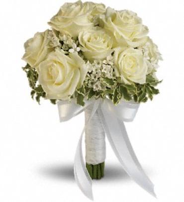 Lacy Rose Bouquet - Delicate white bouvardia and pittosporum lend a lacy look to this breathtaking bouquet of white roses, wrapped with sheer organza ribbon.  White roses and bouvardia contrasted by variegated pittosporum.  Approximately 9" W x 11 1/2" H  Orientation: N/A      As Shown : T186-2A  