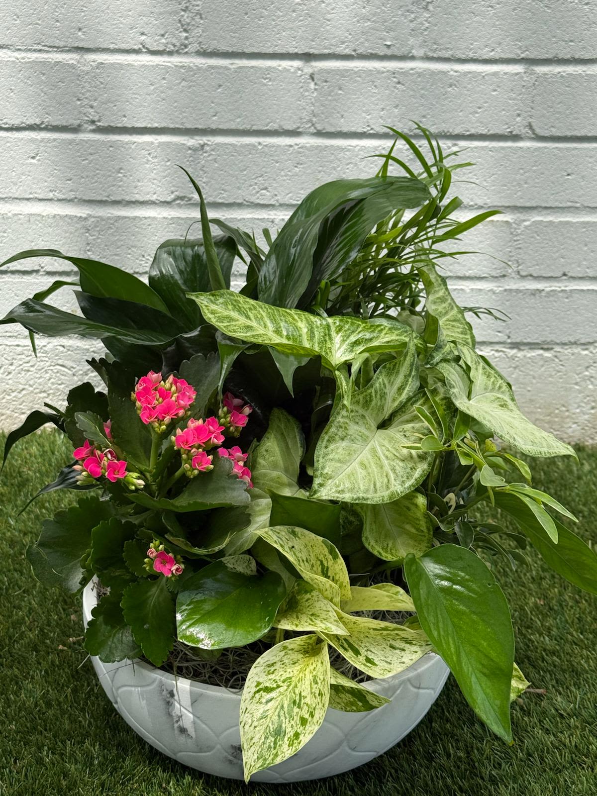 Tropical Tranquility Garden Bowl - Bring a breath of fresh air into any space with our Tropical Tranquility Garden Bowl. This lush, long-lasting indoor plant arrangement features a beautiful medley of greenery—including peace lily, pothos, dieffenbachia, palm, and vibrant kalanchoe blooms—set in a modern ceramic bowl. Handcrafted with care in Houston, this garden bowl is perfect for home décor, sympathy gifts, or corporate settings.  Whether you're looking for a plant delivery in Houston or a thoughtful gift that grows, this blooming dish garden is an eco-friendly way to send comfort and lasting beauty. Our garden arrangements are sourced from trusted Texas growers and delivered with care the same day.