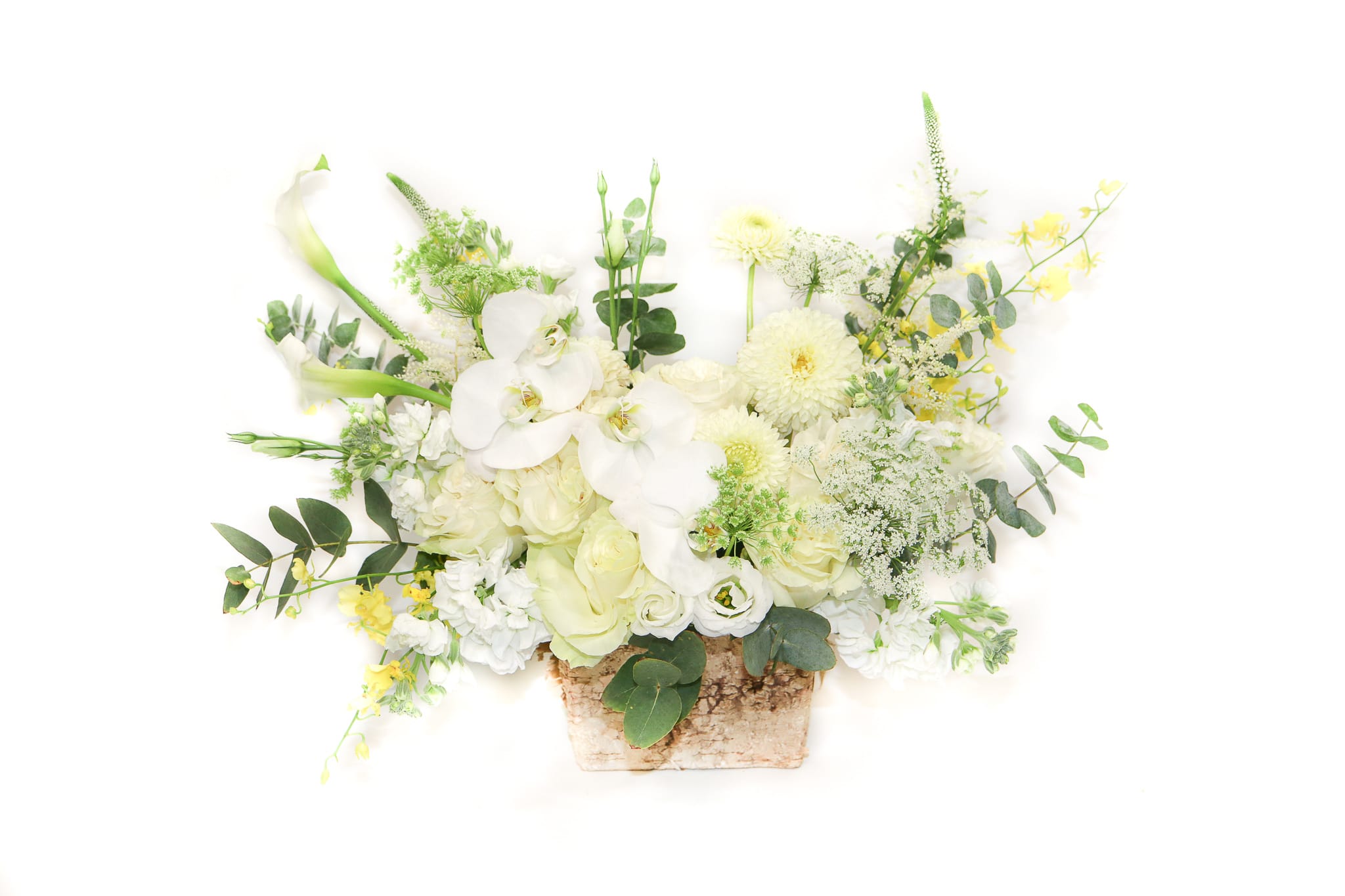 Royal White - LJR - This stunning white arrangement is both chic and understated. White garden roses mingle with orchids,  dahlias, and calla lilies against a backdrop of dark and silvery greens and subtle accent flowers. Front side arrangement. 