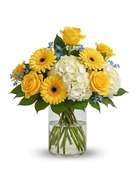 Little Ray of Sunshine - Brighten their day and celebrate the newest arrival with Little Ray of Sunshine. This cheerful bouquet bursts with radiant yellow roses and sunny yellow gerbera daisies, symbolizing joy and warmth. Fluffy white hydrangeas create a soft, cloud-like base, while delicate blue delphinium accents evoke the clear skies of a beautiful new beginning. Adorned with fresh greenery, this arrangement is a perfect expression of happiness and hope for the proud new parents.
