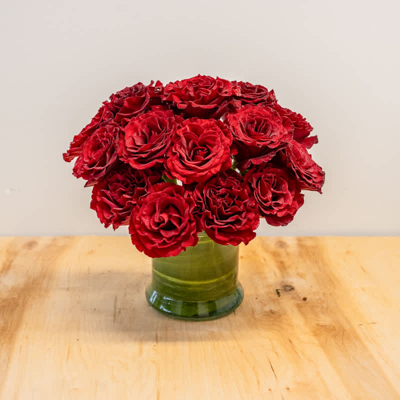 HEARTS - This beautiful, modern, clustered style of Hearts Garden Roses is sure to be a winner!  These roses are large heads, fragrant, and long lasting.  Deep Red with ruffled edges.  Approximately 10x10" in a leaf wrapped cylinder vase.  PREMIUM version will include a full stem of orchids.